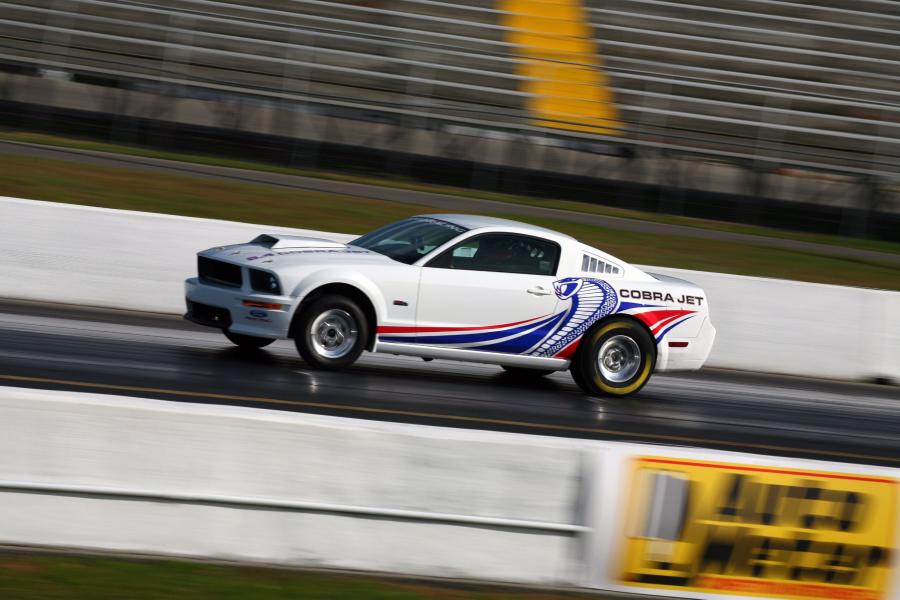  Ford Mustang Cobra Jet 2008 года  (фото 4 из 7)